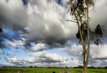 探索深圳天涯社区