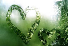 探索海角天涯社区下载的世界——一个让你连接全球朋友的神奇平台！