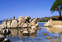 探索海角天涯社区下载的世界——一个让你连接全球朋友的神奇平台！